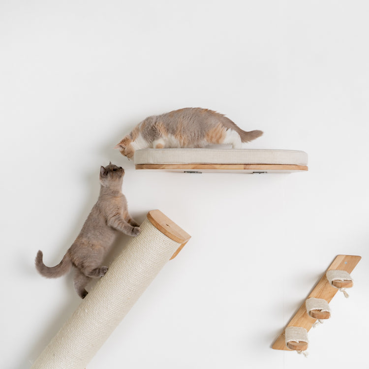 Kletterwand – Katzenbett de Luxe (Beige)
